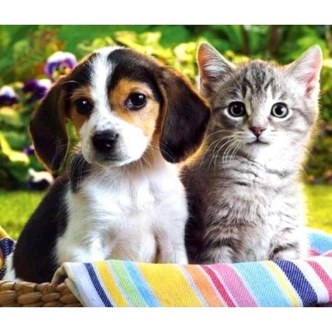 Dog & Cat Diamond Painting Kit