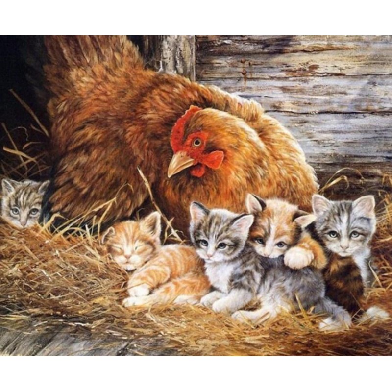 Cats & Chicken P...