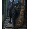 Cat with Broom Diamond Painting