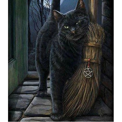 Cat with Broom Diamond Painting