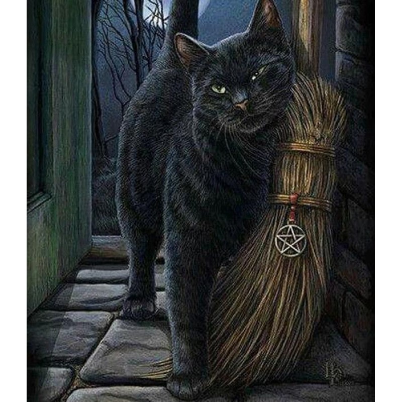 Cat with Broom Diamo...