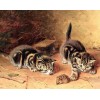 Cats Chasing Rat Painting Kit