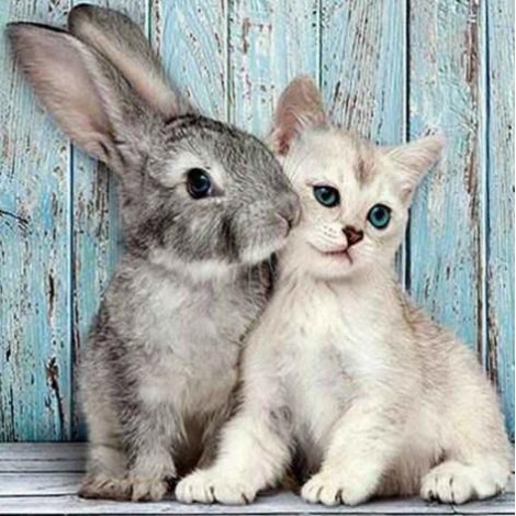 Cat & Rabbit DIY Painting Kit