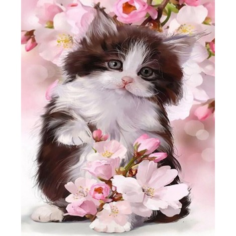 Cute Cat & Lovely Flowers