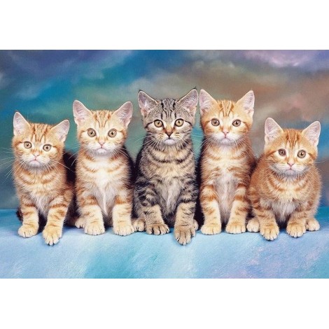 Cute Group of Cats Diamond Painting