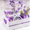 Fresh Lavenders - Paint by Diamonds