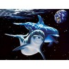 Dolphins Swimming in Space