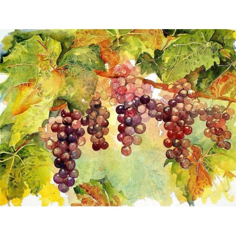 Hanging Grapes DIY Painting