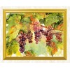 Hanging Grapes DIY Painting