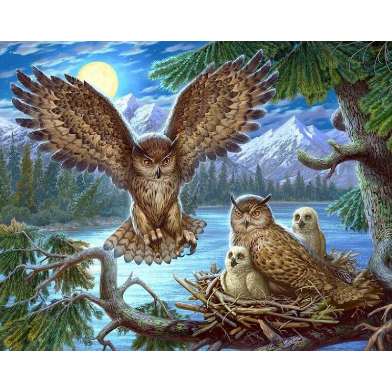 Owl Family Sitting i...