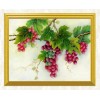 Grapes on Branches DIY Painting