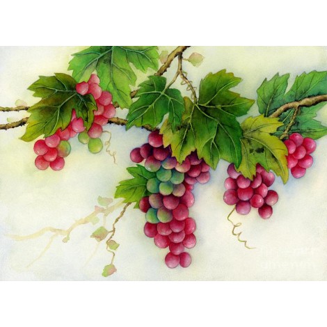 Grapes on Branches DIY Painting