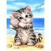 Cat on the Beach Painting Kit