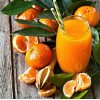 Freshly Squeezed Orange Juice