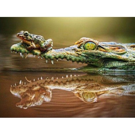 Crocodile & Frog Painting Kit