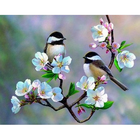 Little Sparrows on White Flowers