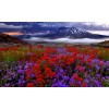 Lightning Over Mount St. Helens