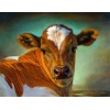 Cow DIY Diamond Painting