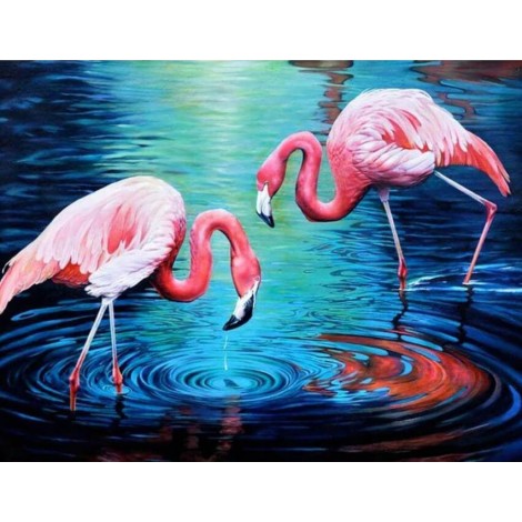 Flamingos Pair in Water