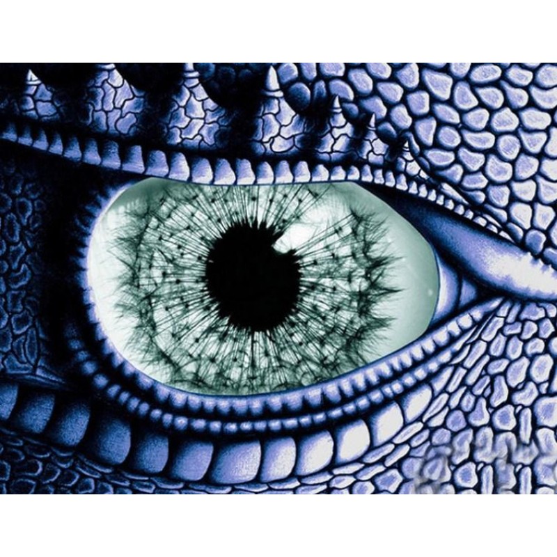 Dragon Eye - Paint b...