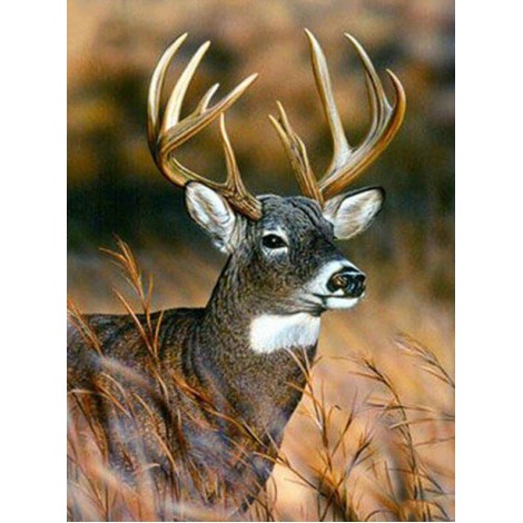 Deer 5D Diamond Painting Kit