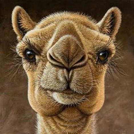 Camel Diamond Painting Kit